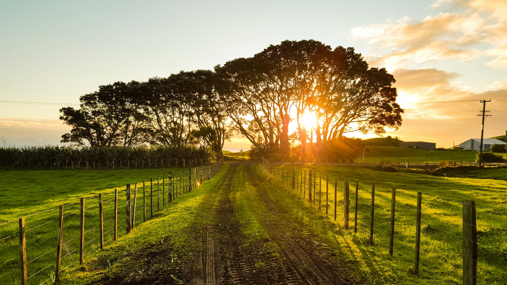 Electric fencing for agricultural farm protection